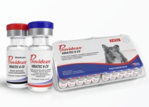 Vac Providean Viratec 6 CV 25 doz