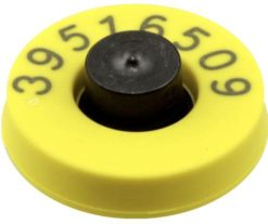 Bov Kişisel Kesim Elektronik Küpe. Allflex Ana Sayfa